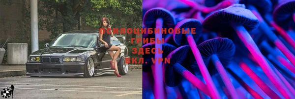 дурь Алзамай