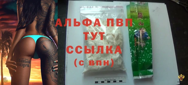 индика Зеленокумск