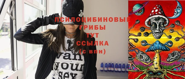 дурь Алзамай
