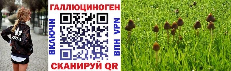 купить закладку  MEGA ссылки  Псилоцибиновые грибы GOLDEN TEACHER  Евпатория 
